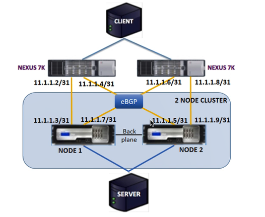 Citrix Cisco Nexus 7000