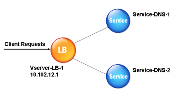 DNS 代理实体模型