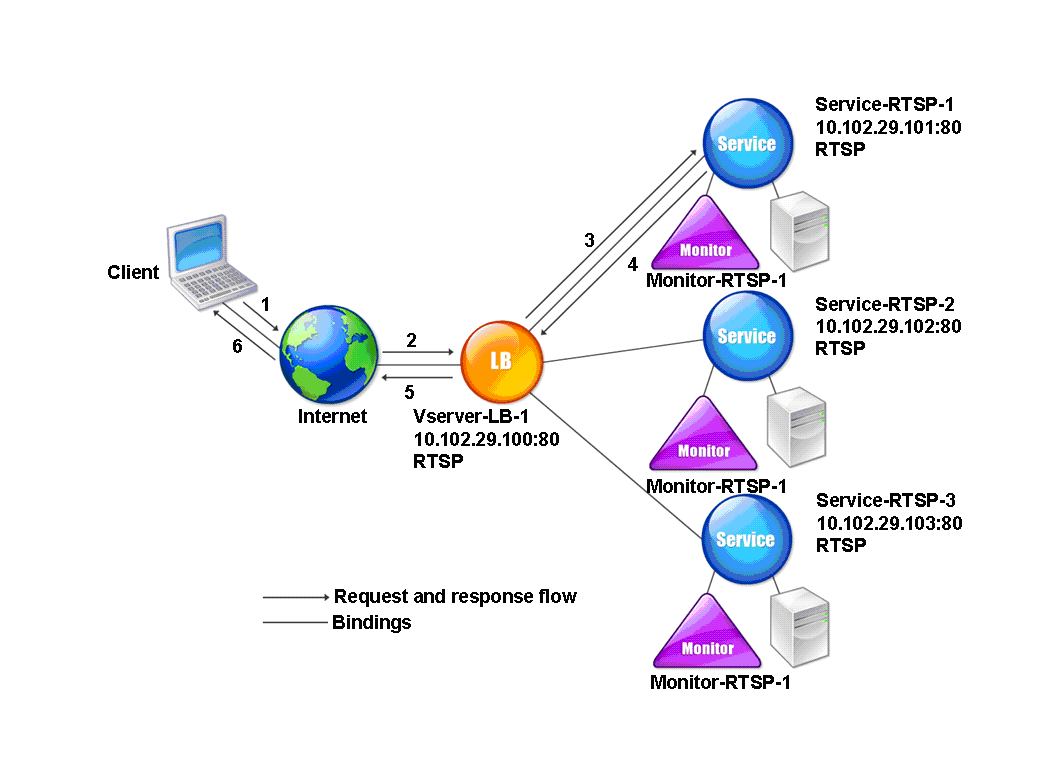 Modèle d'entité RTSP