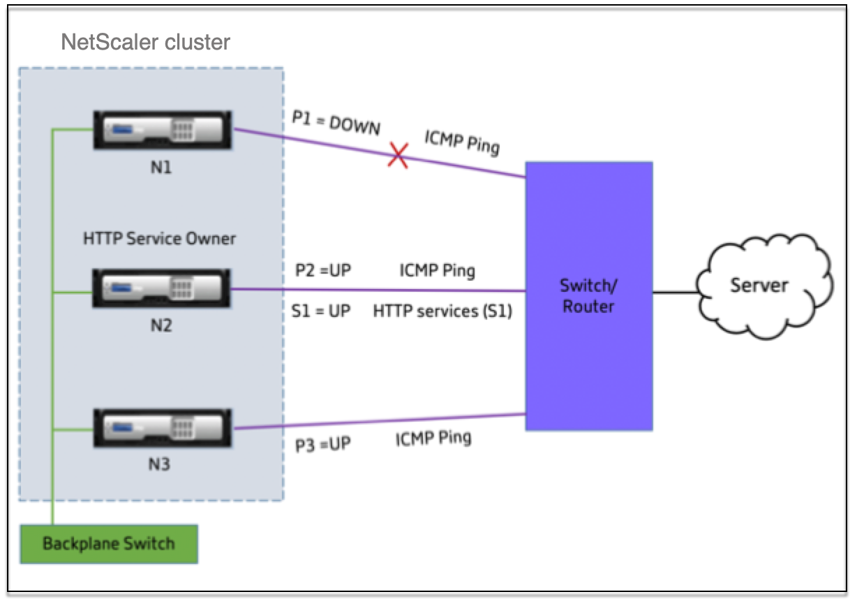 Monitoring services in a cluster using path monitoring