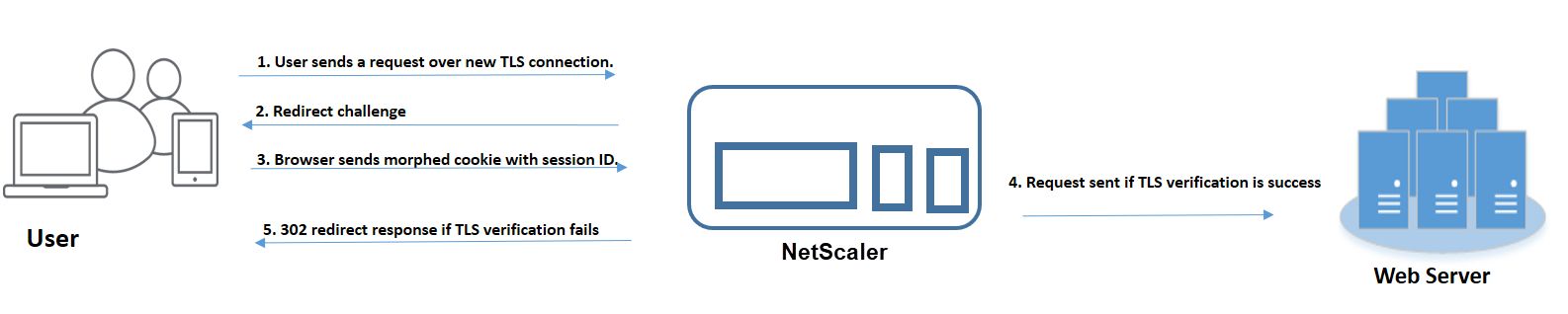 Cookie-Hijacking-Angriff Anwendungsfall 2: Benutzerzugriff über neues TLS mit Session-Cookie
