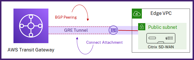 Anexo de AWS Transit Gateway Connect