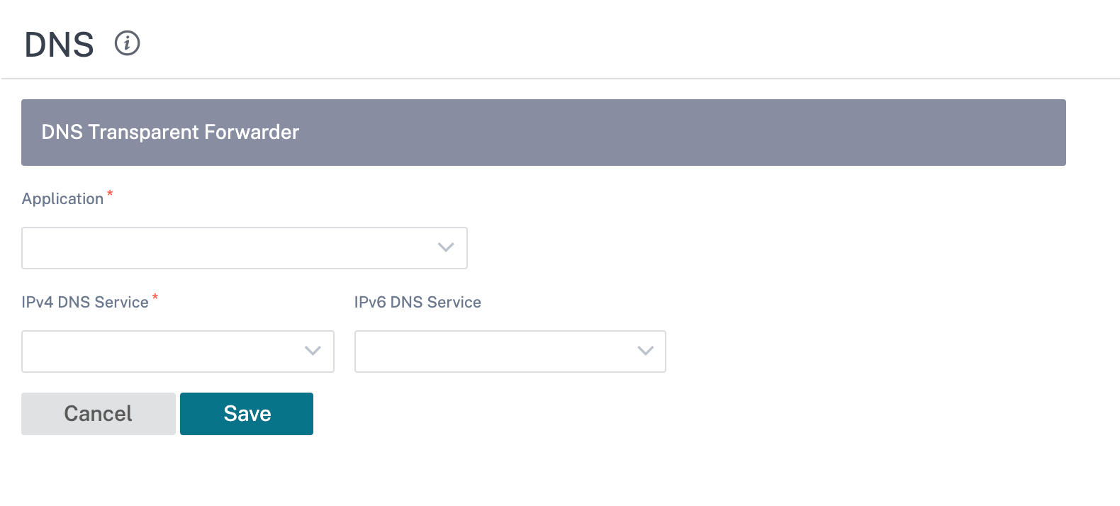 Reenviador transparente DNS