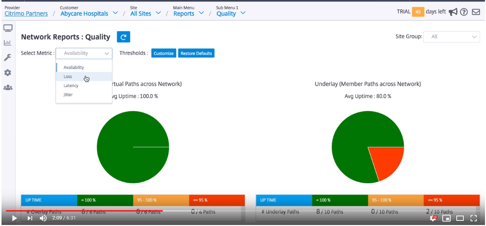 Citrix SD-WAN 管弦乐器服务概述