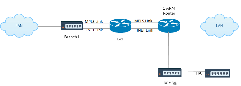 HA デプロイ OSPF
