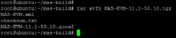 A domain disk image