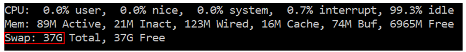 Swap partition