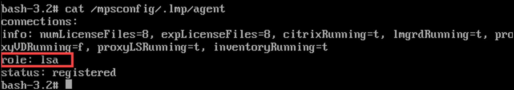 Agent hosting LSA role