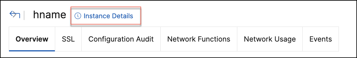 Instance details